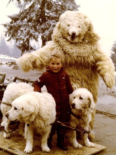 IMg0087.jpg - Niedzwiedź z Gubałówki.