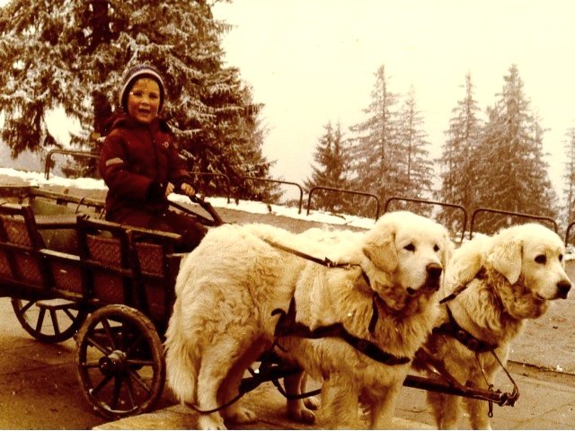 IMg0088.jpg - Niedźwiedzia przegnałem, można jechać.
